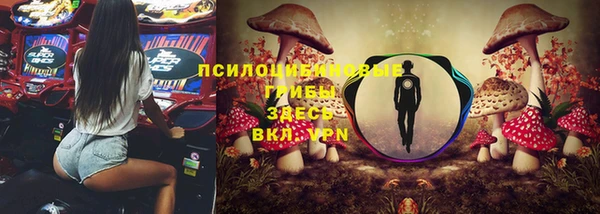 метадон Аркадак