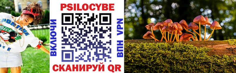 hydra tor  shop Telegram  Псилоцибиновые грибы ЛСД  Сухой Лог 